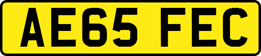 AE65FEC