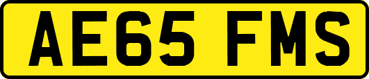 AE65FMS
