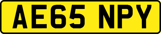 AE65NPY