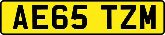 AE65TZM