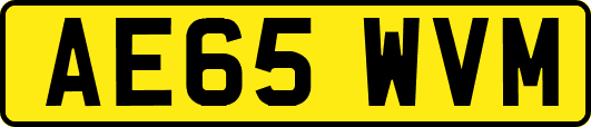 AE65WVM