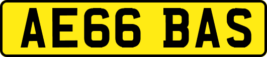 AE66BAS