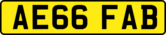 AE66FAB