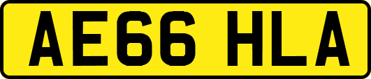 AE66HLA