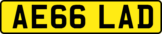 AE66LAD