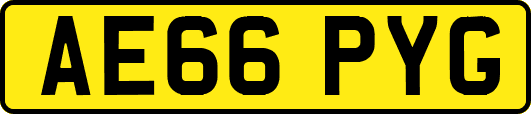 AE66PYG