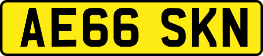 AE66SKN