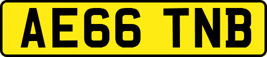 AE66TNB