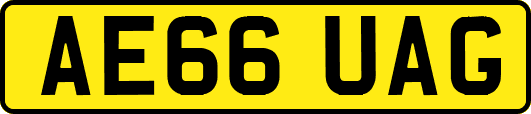 AE66UAG