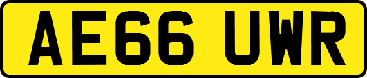 AE66UWR