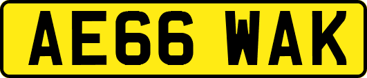 AE66WAK