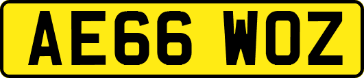 AE66WOZ