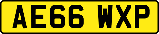 AE66WXP