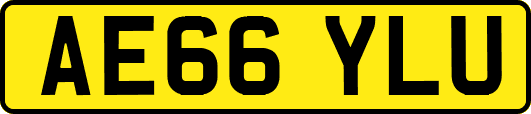 AE66YLU