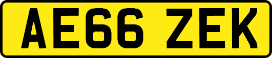 AE66ZEK