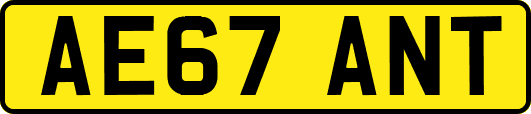 AE67ANT