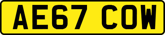AE67COW