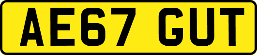 AE67GUT