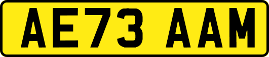 AE73AAM