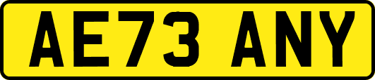 AE73ANY
