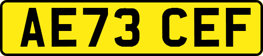 AE73CEF