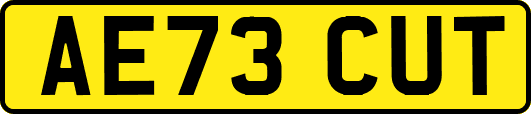 AE73CUT