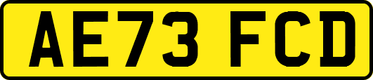 AE73FCD
