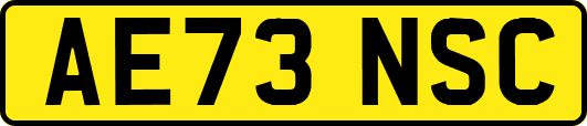 AE73NSC