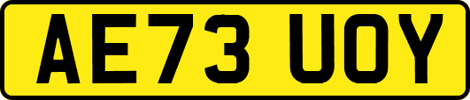 AE73UOY