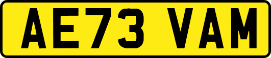 AE73VAM