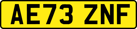 AE73ZNF