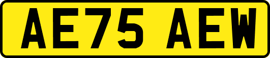 AE75AEW