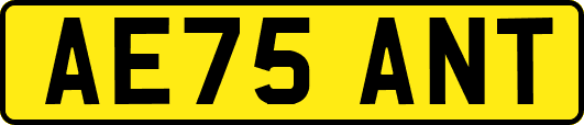 AE75ANT
