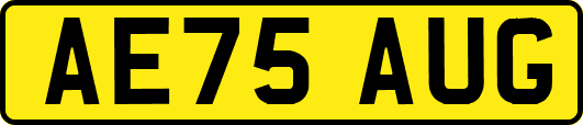 AE75AUG