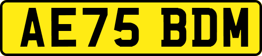 AE75BDM