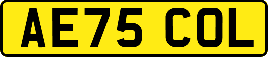 AE75COL