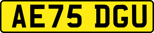 AE75DGU