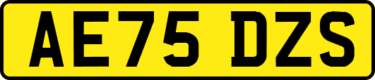 AE75DZS