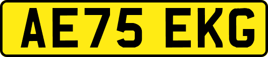 AE75EKG