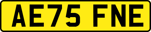 AE75FNE