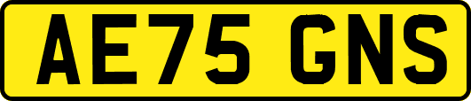 AE75GNS