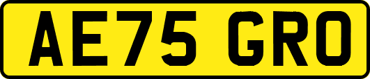 AE75GRO