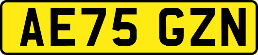 AE75GZN
