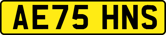 AE75HNS