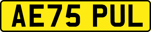 AE75PUL