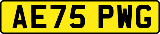 AE75PWG