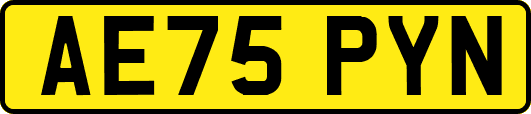 AE75PYN