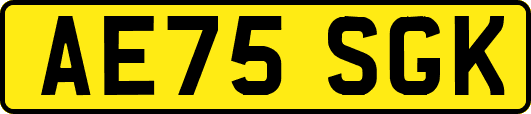 AE75SGK
