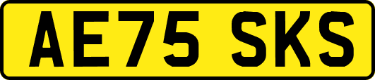 AE75SKS