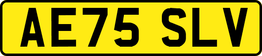 AE75SLV